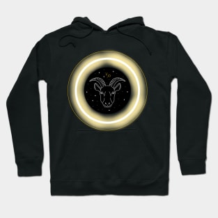 Neon Light Effect Capricorn Hoodie